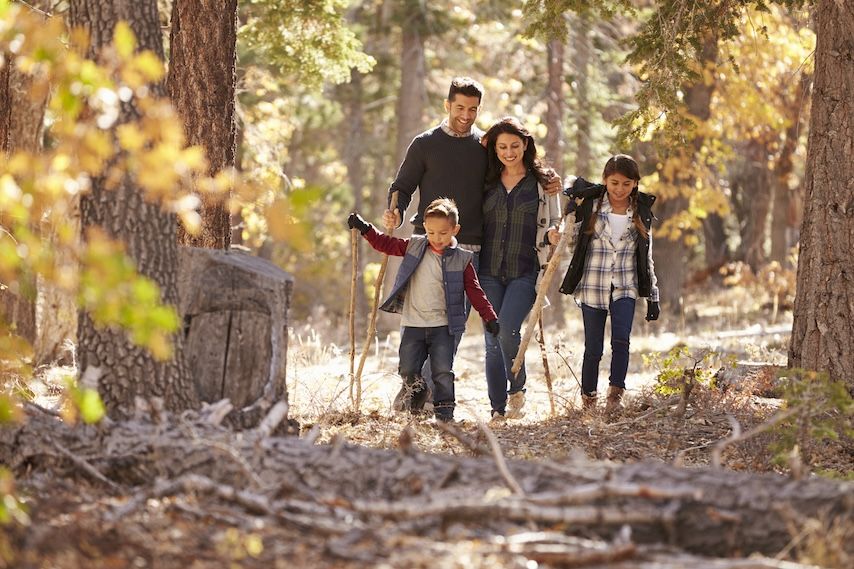 Family walking together through a forest trail surrounded by autumn leaves, enjoying outdoor fall activities.