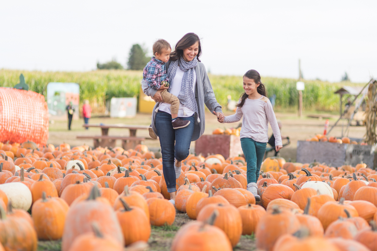 Family enjoying a pumpkin patch during a fall outing